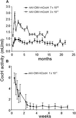 Treating Cocaine Addiction, Obesity, and Emotional Disorders by Viral Gene Transfer of Butyrylcholinesterase